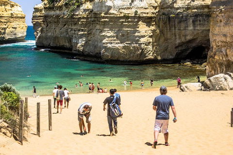 Small-Group Great Ocean Road Classic Day Tour From Melbourne - Holiday Adelaide 5