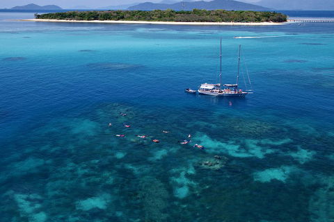 Ocean Free Green Island & Great Barrier Reef Snorkel Cruise, Cairns 25 Guests - Holiday Adelaide 2