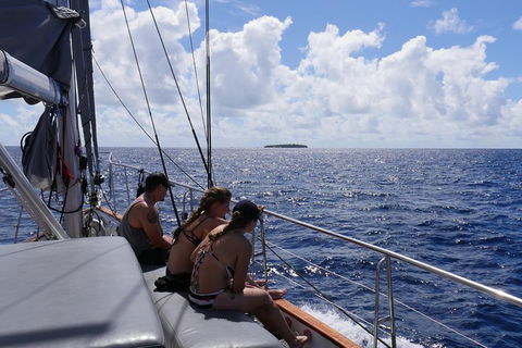 Ocean Free Green Island & Great Barrier Reef Snorkel Cruise, Cairns 25 Guests - Holiday Adelaide 4