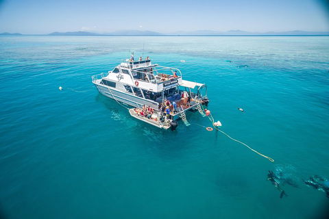 Ocean Freedom Great Barrier Reef Personal Luxury Snorkel & Dive Cruise, Cairns - Holiday Adelaide 0