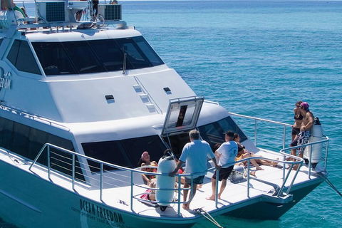 Ocean Freedom Great Barrier Reef Personal Luxury Snorkel & Dive Cruise, Cairns - Holiday Adelaide 1