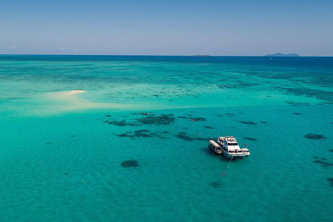 Ocean Freedom Great Barrier Reef Personal Luxury Snorkel & Dive Cruise, Cairns - Holiday Adelaide 2