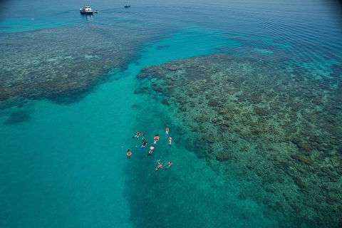 Ocean Freedom Great Barrier Reef Personal Luxury Snorkel & Dive Cruise, Cairns - Holiday Adelaide 3