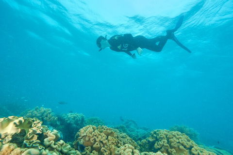 Ocean Freedom Great Barrier Reef Personal Luxury Snorkel & Dive Cruise, Cairns - Holiday Adelaide 5