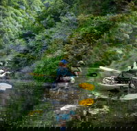 Byron Bay Rainforest Fishing - Holiday Adelaide