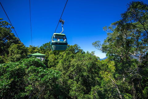 Classic Kuranda By Skyrail And Scenic Railway Including Rainforestation, Koala And Wildlife Park And Pamagirri Aboriginal Experi - Holiday Adelaide 0