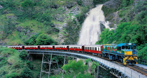 Classic Kuranda By Skyrail And Scenic Railway Including Rainforestation, Koala And Wildlife Park And Pamagirri Aboriginal Experi - Holiday Adelaide 1