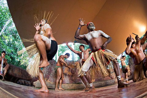 Classic Kuranda By Skyrail And Scenic Railway Including Rainforestation, Koala And Wildlife Park And Pamagirri Aboriginal Experi - Holiday Adelaide 2