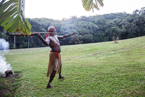 Classic Kuranda By Skyrail And Scenic Railway Including Rainforestation, Koala And Wildlife Park And Pamagirri Aboriginal Experi - Holiday Adelaide 5