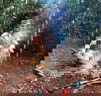 Kuranda Highlights including Rainforestation Aboriginal Culture and Wildlife - Holiday Adelaide