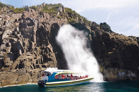 Full-Day Bruny Island Cruises Day Tour From Hobart - Holiday Adelaide 4