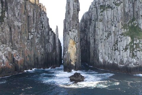 Tasman Island Cruises And Port Arthur Historic Site Day Tour From Hobart - Holiday Adelaide 2