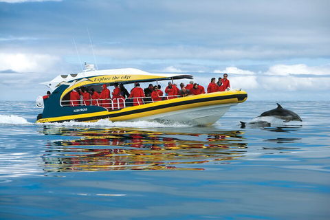Tasman Island Cruises And Port Arthur Historic Site Day Tour From Hobart - Holiday Adelaide 3
