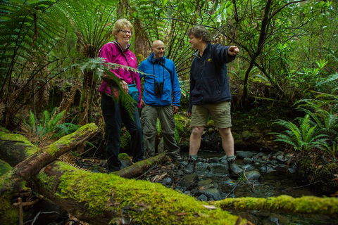 Bruny Island Traveller - Gourmet Tasting And Sightseeing Day Trip From Hobart - Holiday Adelaide 1