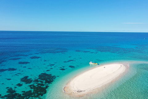 Ocean Safari Great Barrier Reef Experience In Cape Tribulation - Holiday Adelaide 0