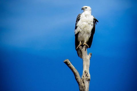 Kangaroo Island 75-Minute Ocean Safari - Holiday Adelaide 0