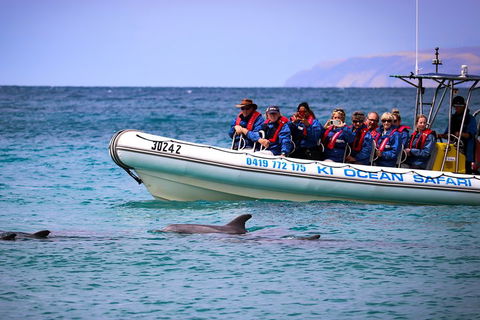 Kangaroo Island 75-Minute Ocean Safari - Holiday Adelaide 4