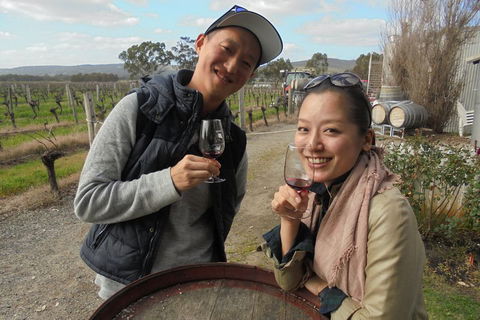 Swan Valley River Cruise And Wine Tasting Day Trip From Perth - Holiday Adelaide 0