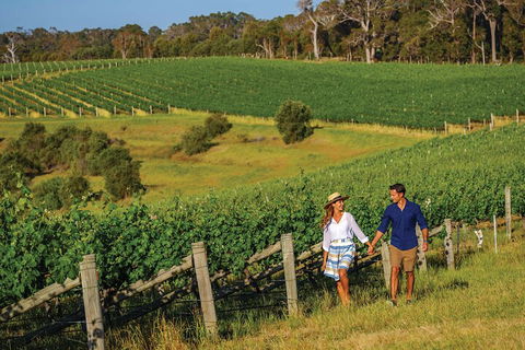 10 Day Perth To Adelaide Private Tour - The Great Australian Wilderness Journey - Holiday Adelaide 0