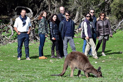 2-Day Kangaroo Island 4WD Small-Group Tour From Adelaide - Holiday Adelaide 1