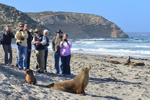 2-Day Kangaroo Island 4WD Small-Group Tour From Adelaide - Holiday Adelaide 3