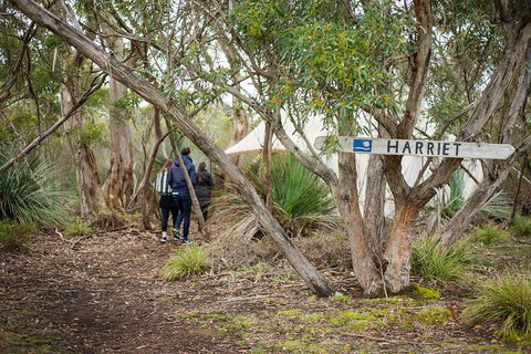 2-Day Kangaroo Island 4WD Small-Group Tour From Adelaide - Holiday Adelaide 5