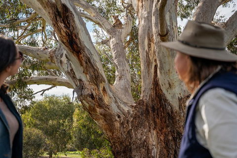 NEW TOUR - Kangaroo Island Road To Recovery Tour (1 Day/1 Night) - Holiday Adelaide 0