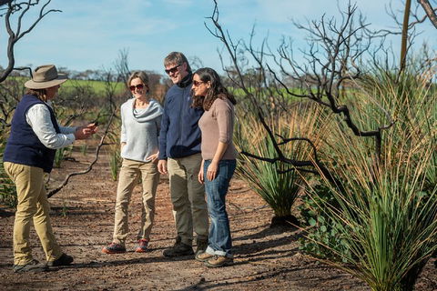 NEW TOUR - Kangaroo Island Road To Recovery Tour (1 Day/1 Night) - Holiday Adelaide 4