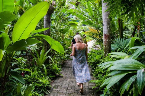 Cairns City Sights And Surrounds Tour - Holiday Adelaide 2