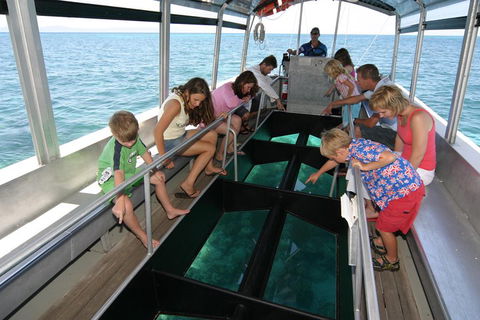 Cairns City Sights And Surrounds Tour - Holiday Adelaide 5