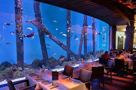 Cairns Aquarium And Small Group City Sightseeing Tour - Holiday Adelaide 4