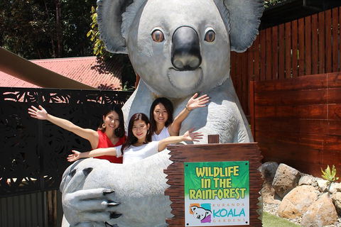 Kuranda Koala Gardens And Birdworld Admission Tickets - Holiday Adelaide 3