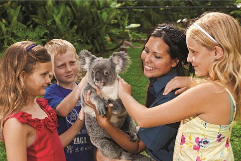 Kuranda Koala Gardens General Entry Ticket - Holiday Adelaide 0