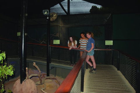 Kuranda Koala Gardens General Entry Ticket - Holiday Adelaide 2