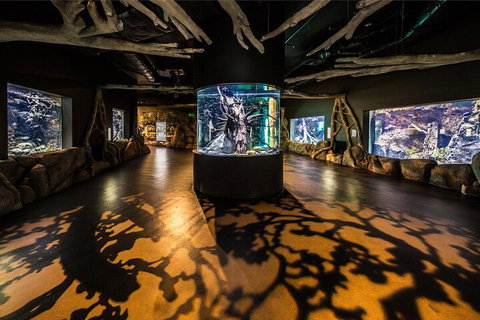 Cairns Aquarium By Twilight With 3-Course Dinner - Holiday Adelaide 3