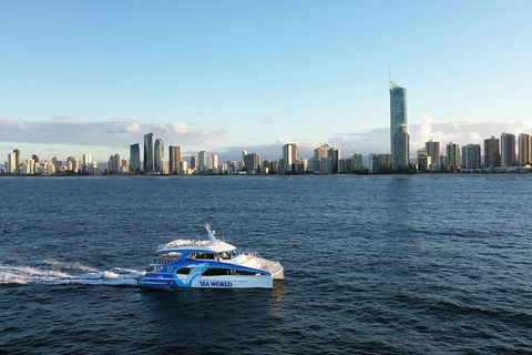 Whale Watching By Sea World Cruises - Holiday Adelaide 1