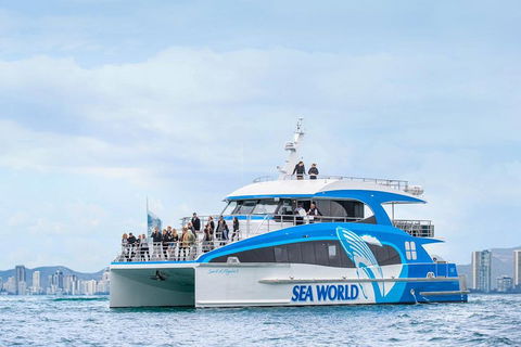 Whale Watching By Sea World Cruises - Holiday Adelaide 3