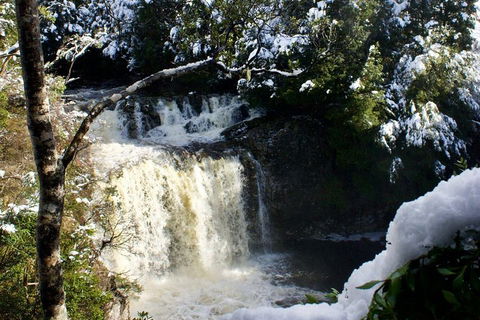 Cradle Mountain Day Tour From Launceston Including Lunch - Holiday Adelaide 0