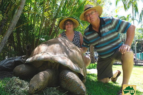 Small-Group Australia Zoo Day Trip From Brisbane - Holiday Adelaide 1