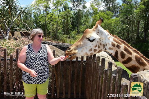 Small-Group Australia Zoo Day Trip From Brisbane - Holiday Adelaide 2