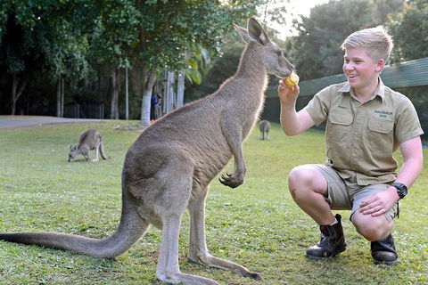 Small-Group Australia Zoo Day Trip From Brisbane - Holiday Adelaide 4