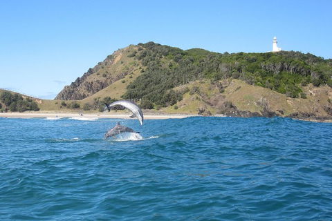 Kayaking With Dolphins In Byron Bay Guided Tour - Holiday Adelaide 0