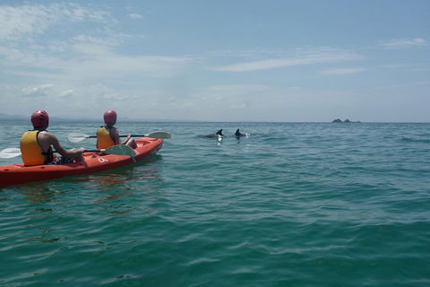 Kayaking With Dolphins In Byron Bay Guided Tour - Holiday Adelaide 4