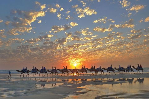 Broome City Sightseeing Tour With Optional Camel Ride - Holiday Adelaide 1