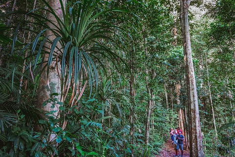 Atherton Tablelands Rain Forest By Night From Cairns - Holiday Adelaide 0