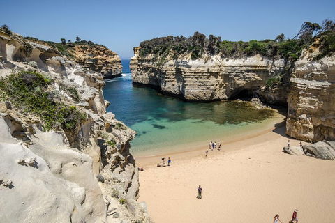 Great Ocean Road Reverse Itinerary With 12 Apostles From Melbourne - Holiday Adelaide 5