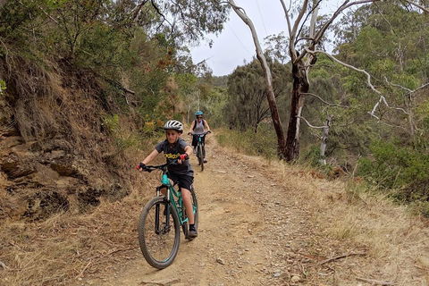Mount Lofty Descent Bike Tour From Adelaide - Holiday Adelaide 0