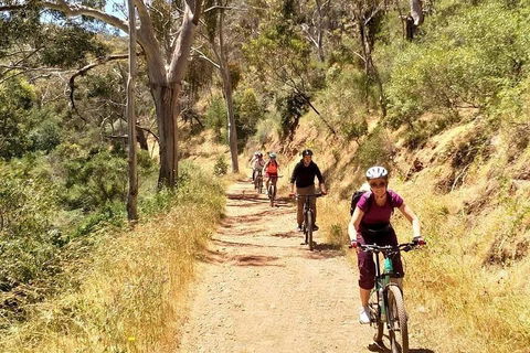 Mount Lofty Descent Bike Tour From Adelaide - Holiday Adelaide 3