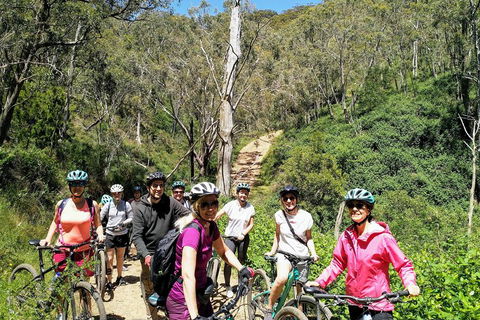Mount Lofty Descent Bike Tour From Adelaide - Holiday Adelaide 5