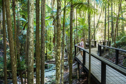 All-Inclusive Fraser Island Day Tour - Holiday Adelaide 5